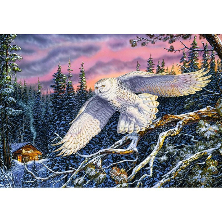 Owl diamond painting - Diamond Painting House